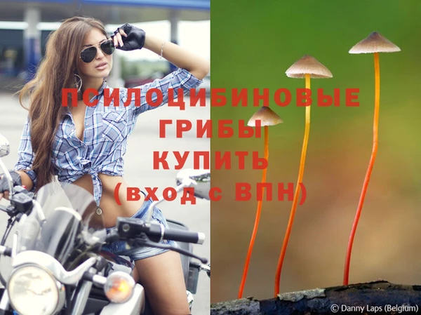 бошки Алексеевка