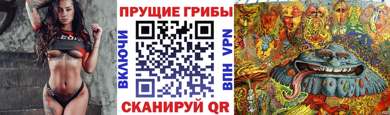 продажа наркотиков  Щёлкино  Галлюциногенные грибы мухоморы 