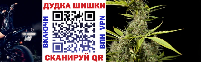 Бошки Шишки семена  магазин продажи   Щёлкино 